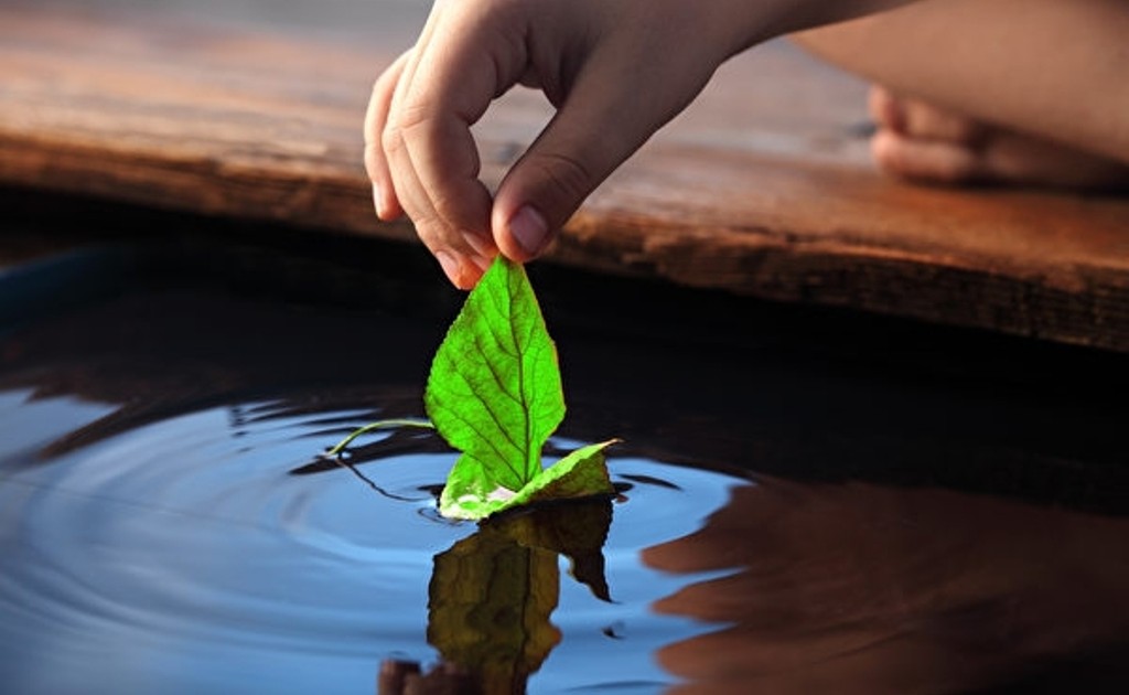 Buông bỏ và tìm kiếm sự bình an