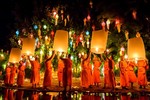 [ẢNH] Thiêng liêng và hân hoan ngày lễ hội Vesak - Phật đản trên thế giới