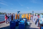 Chùa Minh Đạo tổ chức phóng sinh cá ra sông Sài Gòn