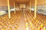 Hơn 600 Tăng Ni tham dự trùng tụng giới luật