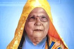 Bạc Liêu: Ni trưởng Thích nữ Hải Thọ - Chứng minh Phân ban Ni giới tỉnh viên tịch