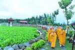 Chư Tăng hướng dẫn hành giả thiền hành buổi sáng tại chùa Quan Âm Đông Hải (TX.Vĩnh Châu, tỉnh Sóc Trăng)