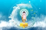 Thiết kế do nhóm Hoa Sen thực hiện