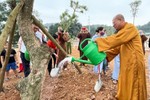 Chư tôn đức cùng Phật tử trồng cây trong khuôn viên Học viện
