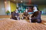 Chư Tăng chùa Đại Tuệ đóng gói lạc nhân để gửi vào TP.HCM