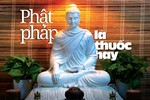 Phật pháp là thuốc hay