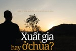 Xuất gia hay ở chùa?