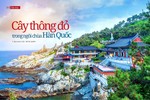 Bài trên Báo Giác Ngộ số 1231 - Thiết kế: Phòng Mỹ thuật BGN/Tống Viết Diễn