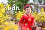 Thiết kế: Tống Viết Diễn/BGN