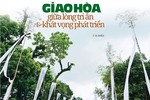 Bài trên Báo Giác Ngộ số 1329 - Thiết kế: Phòng Mỹ thuật BGN/Tống Viết Diễn