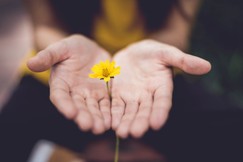 Yêu thương, nền tảng của hôn nhân hạnh phúc