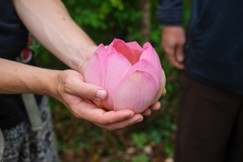 Giá trị của bảy pháp khiến cho quốc gia được hưng thịnh trong kinh Du hành