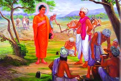 Lòng tin là hạt giống/Khổ nhọc mưa đúng thời/Trí tuệ là cày, ách/Tâm hổ thẹn là trục/Tự giữ gìn chánh niệm/Đấy là khéo điều phục