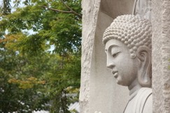 "Một là khéo biết bệnh; hai là khéo biết căn nguyên của bệnh; ba là khéo biết cách chữa trị bệnh; bốn là khéo biết trị lành bệnh để về sau bệnh không còn tái phát nữa"