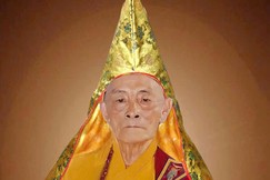 TP.HCM: Trưởng lão Hòa thượng Thích Giải Kinh vừa viên tịch, thọ 98 tuổi