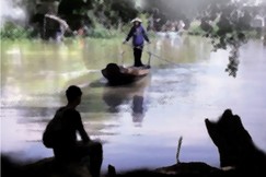 Chuyến đò xưa không quên