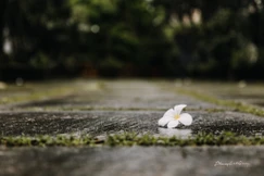 Ảnh: Phung Anh Quốc/BGN