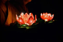 Ảnh: Bảo Toàn/BGN