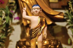 Từ hình tướng sơ sanh đến biểu tượng siêu việt, thanh tịnh của Đấng Giác ngộ, bậc Ly dục