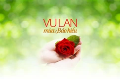 Thiết kế: Tống Viết Diễn/BGN