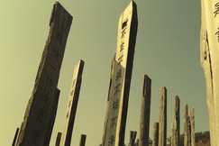 Ví dụ về ba cây lau sậy