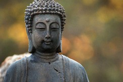 “Ta không tranh đấu với đời, nhưng đời tranh đấu với ta; đối với người biết sự thật thì không bao giờ tranh đấu với đời”