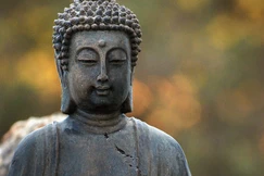 “Ta không tranh đấu với đời, nhưng đời tranh đấu với ta; đối với người biết sự thật thì không bao giờ tranh đấu với đời”