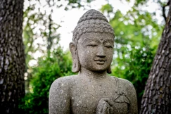 "Khởi đi từ Ấn Độ, tín niệm về Bồ-tát càng ngày càng phát triển rộng rãi và trở thành một tập thành đặc biệt phong phú và đa dạng ở từng tọa độ địa lý khác nhau của các quốc gia Phật giáo không kể đến tông phái"