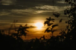 "Có bốn loại thức ăn giúp ích cho chúng sanh, khiến cho chúng sanh được tồn tại, được bảo hộ và nuôi lớn" - Ảnh: Phùng Anh Quốc