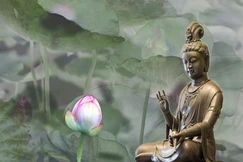  "Tâm từ bi kết hợp với trí tuệ là nền tảng của sự chữa lành cảm xúc"