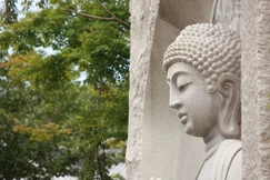 "Một là khéo biết bệnh; hai là khéo biết căn nguyên của bệnh; ba là khéo biết cách chữa trị bệnh; bốn là khéo biết trị lành bệnh để về sau bệnh không còn tái phát nữa"