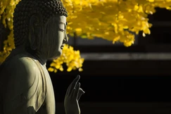 Vô nhân tâm không chỉ là phạm trù tâm lý học, mà còn là chìa khóa mở cánh cửa đạo đức Phật giáo: đạo đức của tự chủ và của chánh niệm