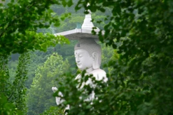 Một trong những nguyên nhân chính của đau khổ là sự tham muốn