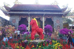 Rực rỡ sắc xuân tại ngôi chùa ở Tây Nguyên