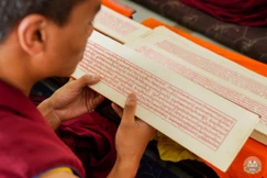 Kinh Pháp hoa giữ một vị trí quan trọng trong lịch sử và văn hóa Phật giáo Tây Tạng. Được dịch chính thức vào thời kỳ Tây tạng đế quốc, kinh Pháp hoa đã được sao chép và tôn kính như một phần của tạng Kanjur, tạng kinh bằng Tạng ngữ