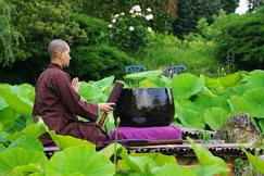  Vượt qua - tri ân nghịch cảnh