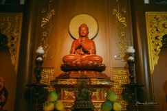 Tỳ-kheo cũng như thế, sống quán niệm thân trên thân, đoạn trừ tất cả Thượng phần phiền não, khéo thu nhiếp tâm, nội tâm dừng lặng, chánh niệm tỉnh giác, được bốn thứ tâm pháp tăng thượng, trụ an lạc trong pháp hiện tại, đạt được điều chưa đạt là Niết-bàn an ổn - Ảnh: Phùng Anh Quốc