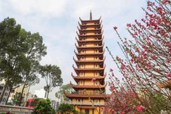 Sắc hoa đào trong khuôn viên Việt Nam Quốc Tự nở rộ đón xuân Bính Ngọ 2026 - Ảnh: Nguyên Tài/BGN