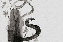 Rắn chết, rắn sống