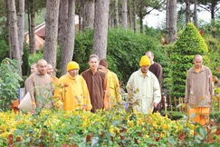 Ảnh: Thường Chiếu