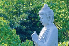 Báo Giác Ngộ số 1336: Đại lão Hòa thượng Thích Trí Quảng nói về mùa Gia hạnh Phổ Hiền