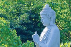 Báo Giác Ngộ số 1336: Đại lão Hòa thượng Thích Trí Quảng nói về mùa Gia hạnh Phổ Hiền