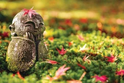 Tất cả mọi cá thể đều bình đẳng với nhau trong việc tìm kiếm hạnh phúc và lẫn tránh khổ đau, đó là bản năng và quyền hạn của mỗi cá thể