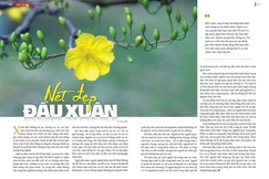 Bài đăng trên Báo Giác Ngộ số 1341 - Thiết kế: Phòng Mỹ thuật BGN/Tống Viết Diễn