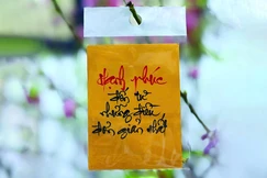 Đầu năm về chùa xin chữ