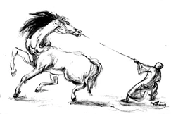 Ảnh: Nhuận Thường/BGN