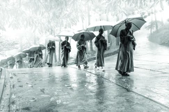 Tháng Bảy, mưa ngâu, giọt mưa rớt như từ một chốn bao la vô tận, nước mắt cũng rớt từ một chốn tâm tận cùng