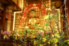 Ảnh: Nguyên Tài/BGN