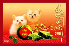 Bên ngoài mùa xuân