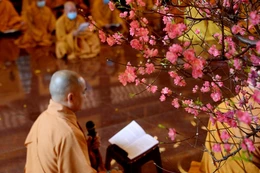 Ảnh: Bảo Toàn